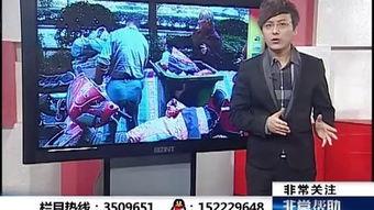 合肥电视台娱乐爆料,明星幕后故事大曝光 第1张 合肥电视台娱乐爆料,明星幕后故事大曝光 第1张