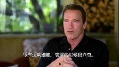 阿诺最新爆料视频,揭秘幕后的惊人真相！  第2张