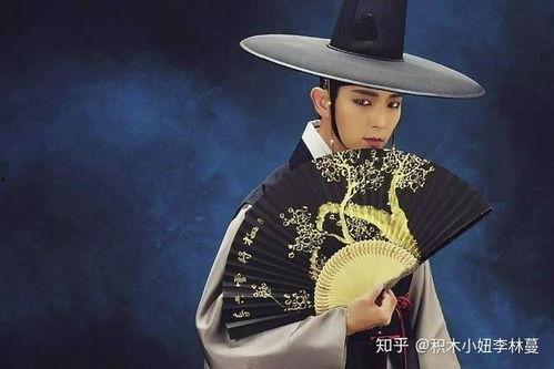 韩剧夜行书生在线观看,穿越时空的浪漫传奇，邂逅神秘书生！  第2张